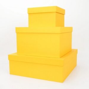 Custom Luxury Rigid Gift Box – Top and Bottom Cardboard Box Manufacturer