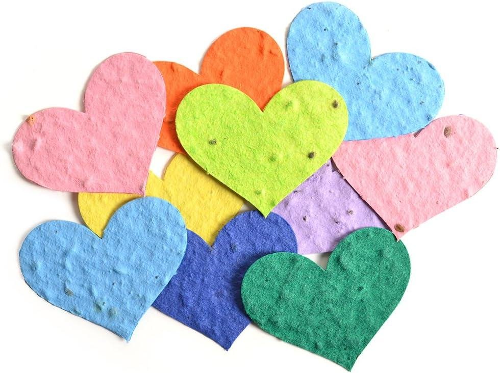 Seed Paper Confetti Size 2.7x2.5cm