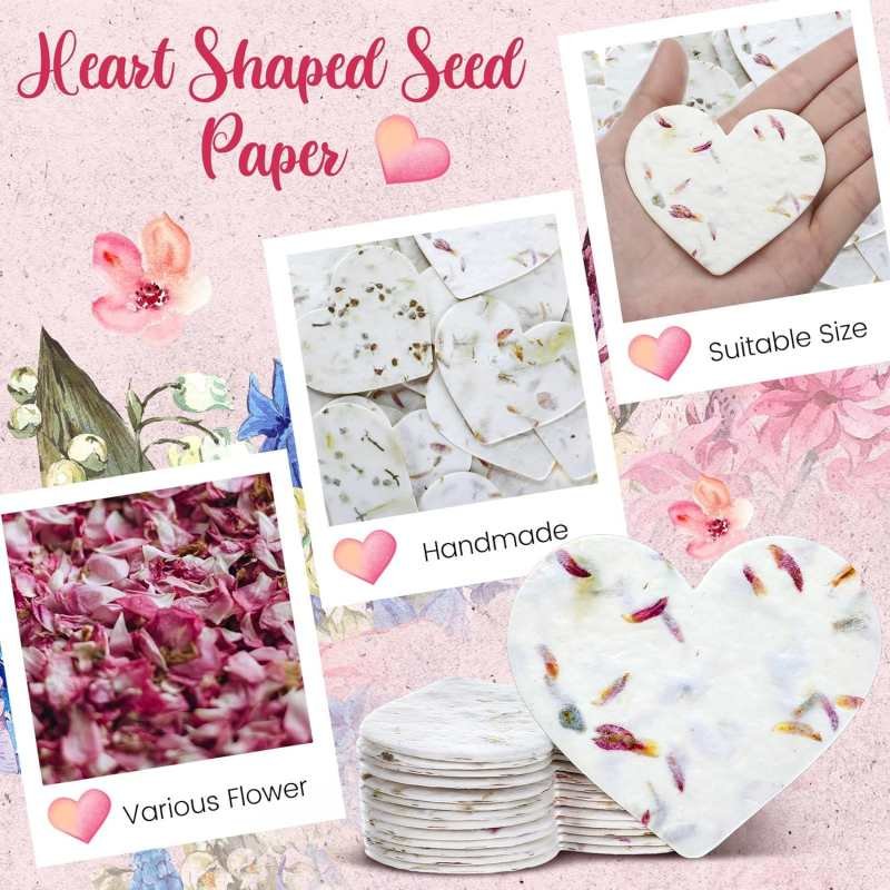 Wenzhou Seed Paper Factory – OEM Manufacturer for USA Wholesale seed paper samples – OEM seed paper manufacturer Wenzhou