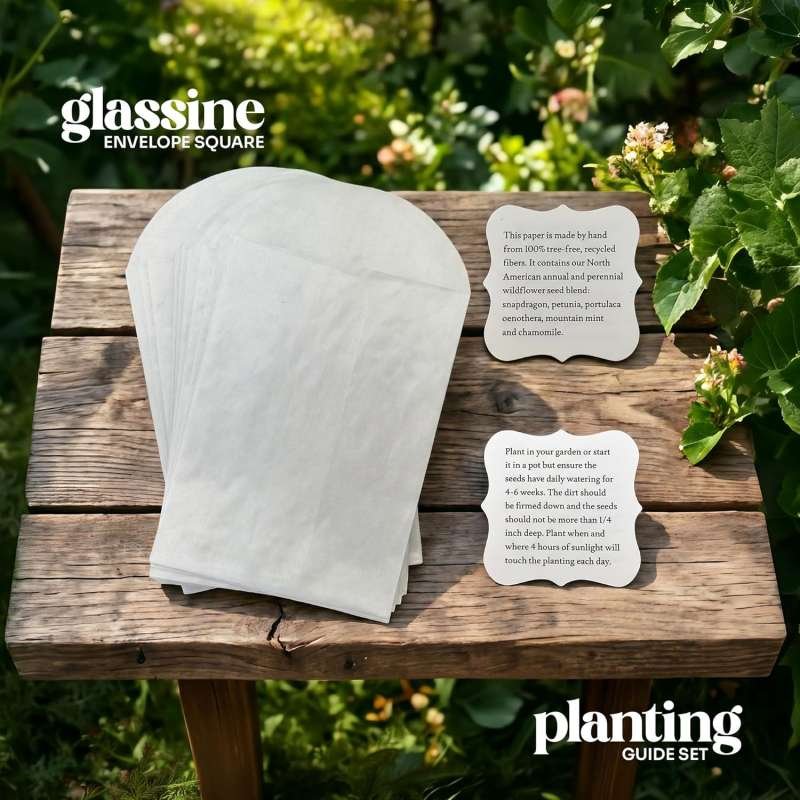Plantable seed paper butterflies – 100 pack, handmade