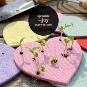 Custom Seed Paper – Plantable Wildflower Paper Manufacturer Wenzhou